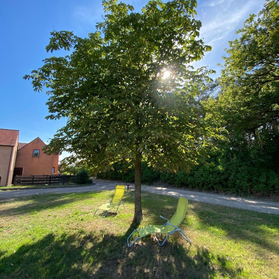 Ferienwohnung Auf Pferdehof Dreetz Εξωτερικό φωτογραφία